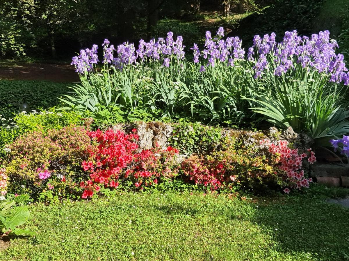 B&B Villa Sant'Anna Bergamo Exterior photo